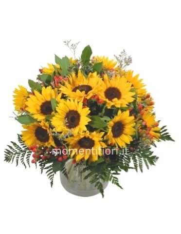 Bouquet di girasoli, numero dei girasoli , secondo stagione