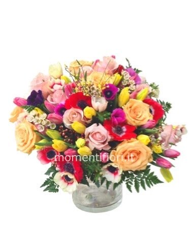 Confezione mista colorata,no rose