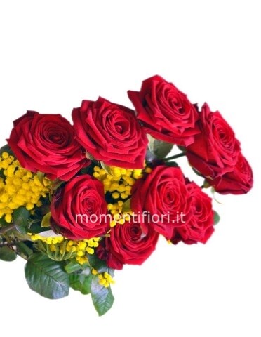 Mazzo di rose rosse a l60 cm con mimosa