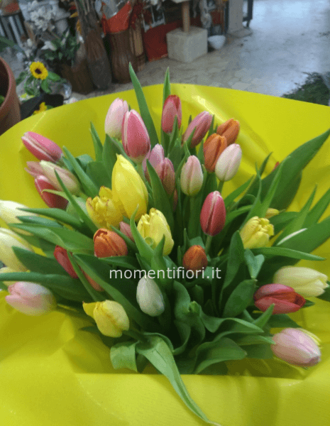 25 Tulipani colorati