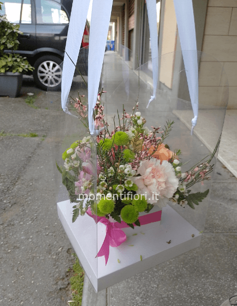Flowers box trasparente con manici