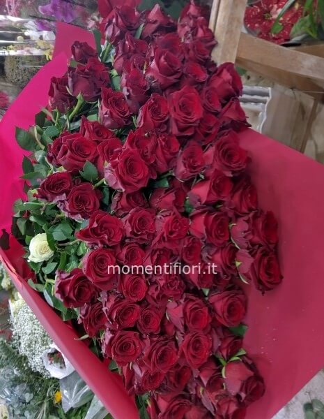 Misura rose a scelta da 60cm ,da 70cm oppure 80 cm